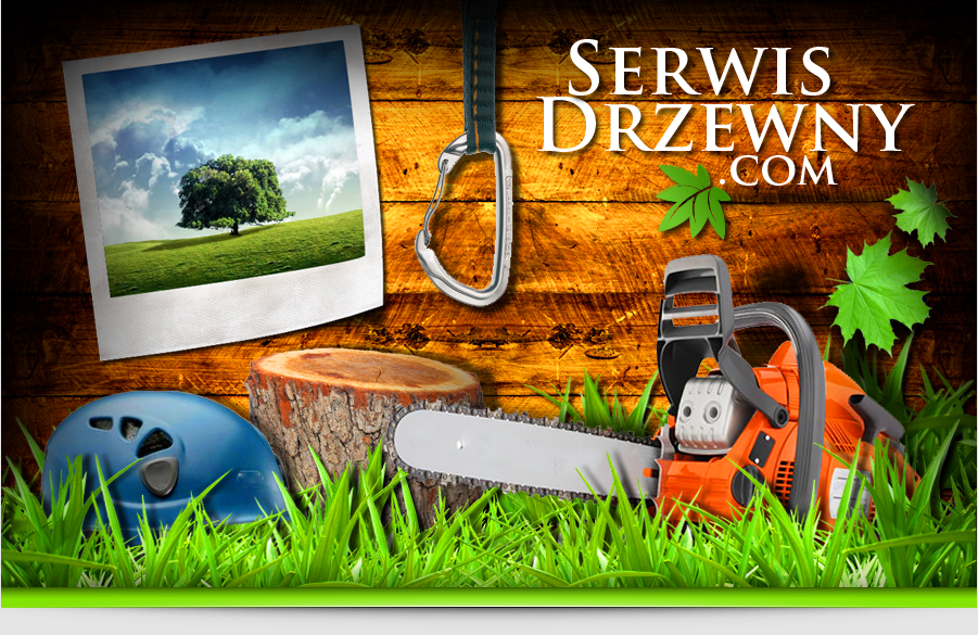 serwis drzewny